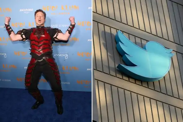 Elon Musk ‘orders Twitter to remove suicide prevention feature’
