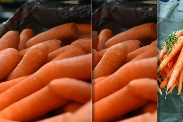 Researchers discover what makes carrots orange
