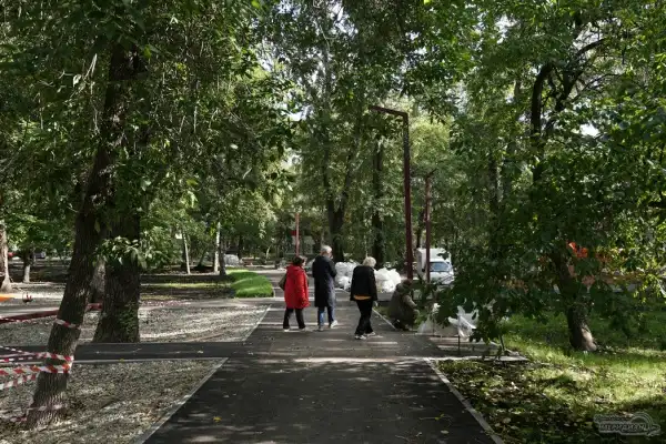 Всероссийский день ходьбы пройдёт в Екатеринбурге 30 сентября